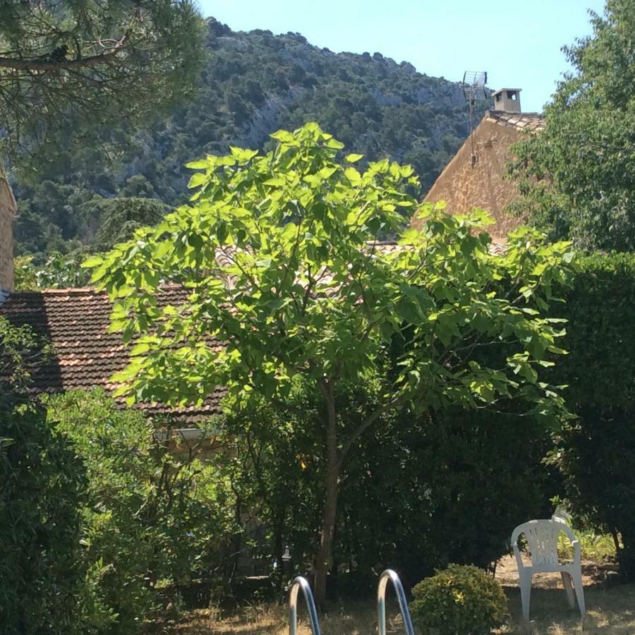 Maison Daumas Billard Francais Et Piscine Robion en Luberon Exterior photo
